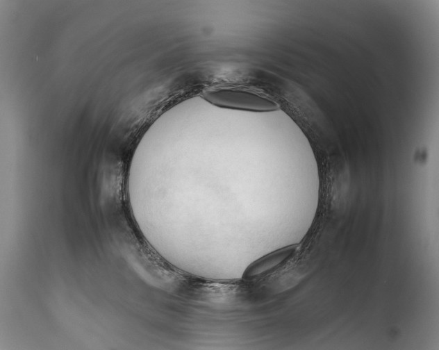 X0000111950328200908241210