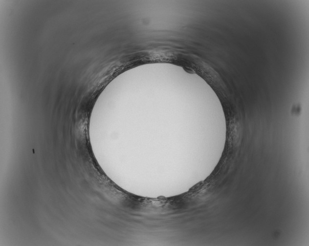 X0000111950329200908241210