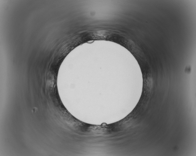 X0000111950331200908241210