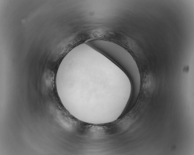 X0000111950332200908241210