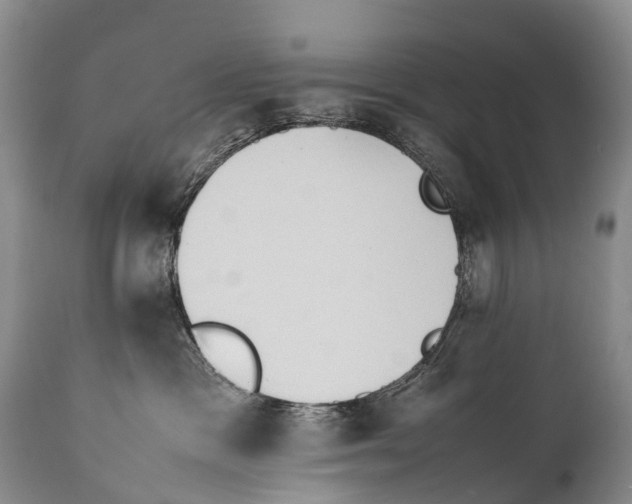 X0000111950333200908241210
