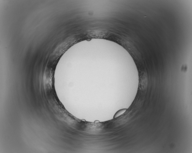 X0000111950334200908241210