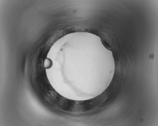 X0000111950335200908241210