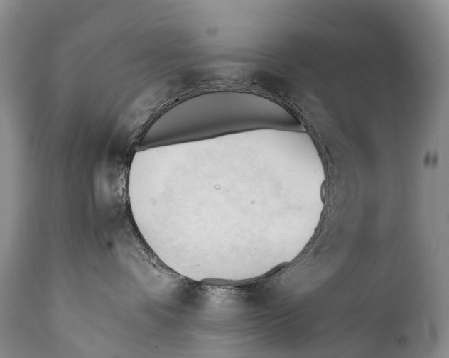 X0000111950336200908241210