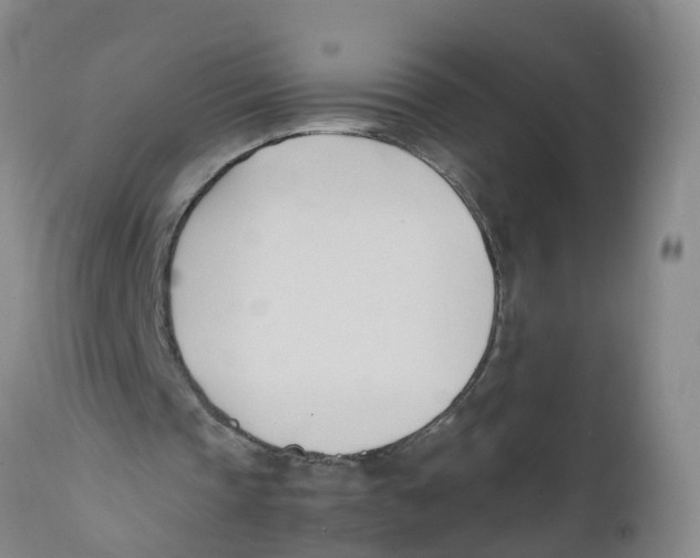 X0000111950337200908241209