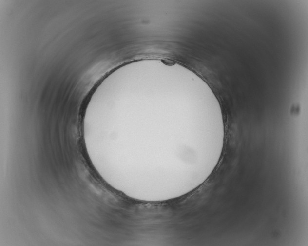X0000111950338200908241209