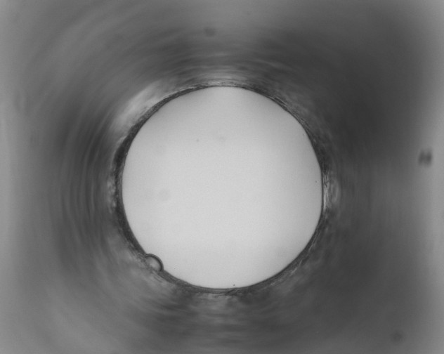 X0000111950339200908241209