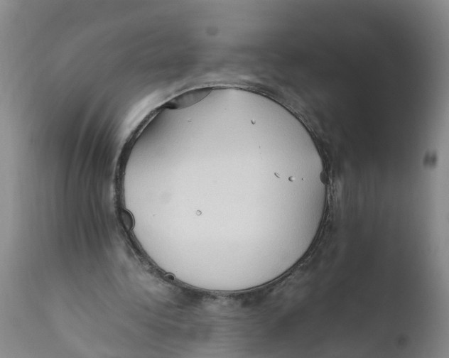 X0000111950340200908241209
