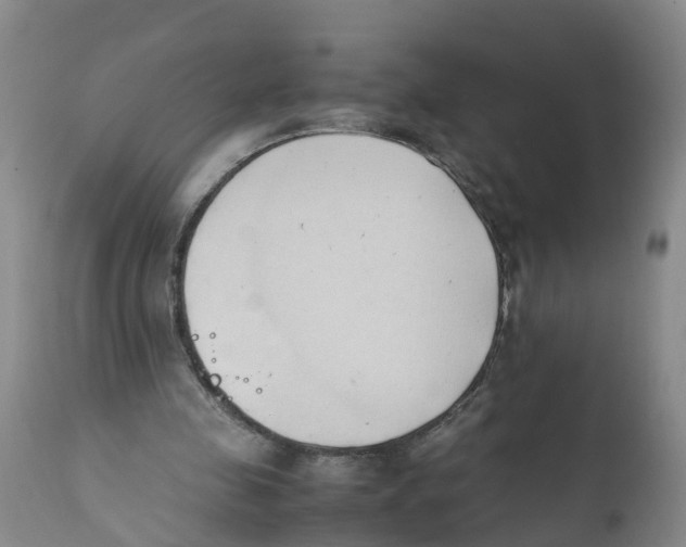 X0000111950341200908241209