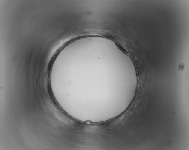 X0000111950342200908241209