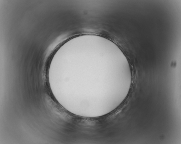 X0000111950343200908241209