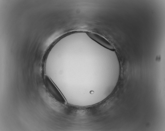 X0000111950344200908241209