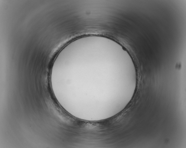 X0000111950346200908241209