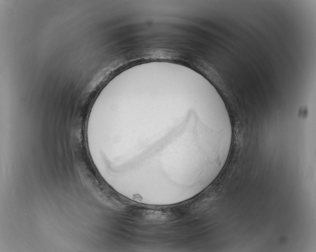 X0000111950347200908241209