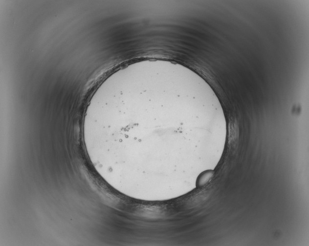 X0000111950349200908241209