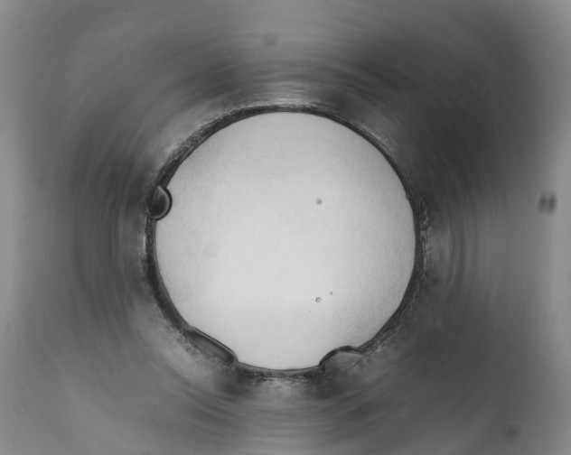 X0000111950350200908241209