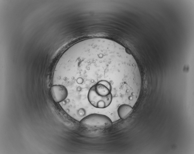 X0000111950351200908241209