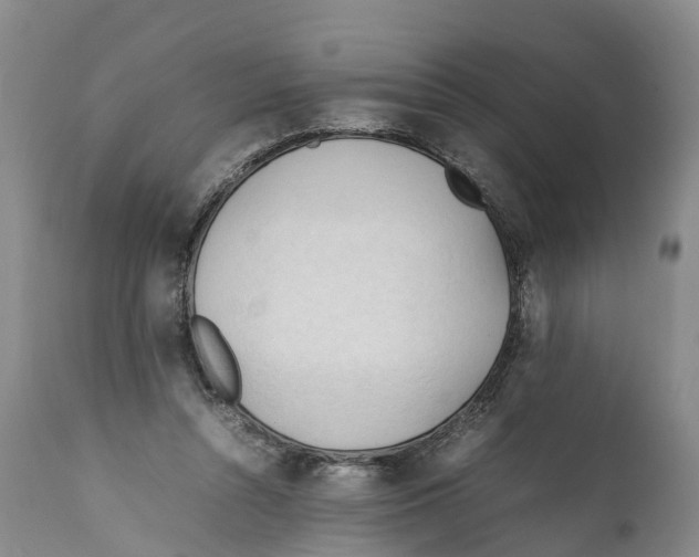X0000111950352200908241209