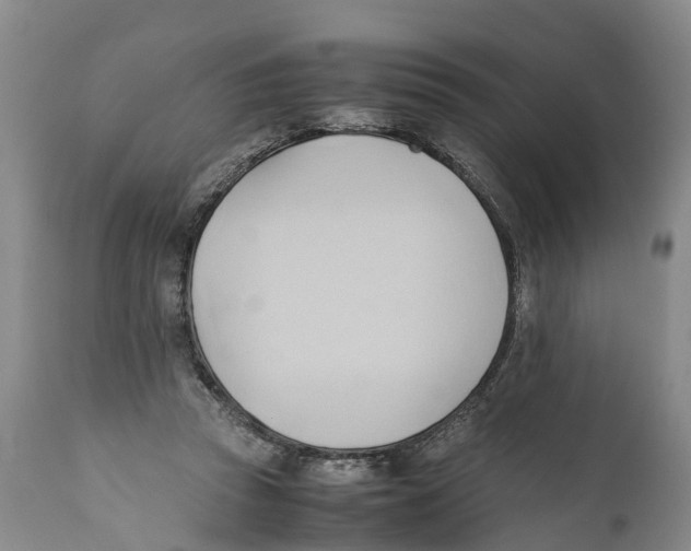 X0000111950353200908241209