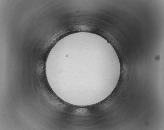 X0000111950355200908241209