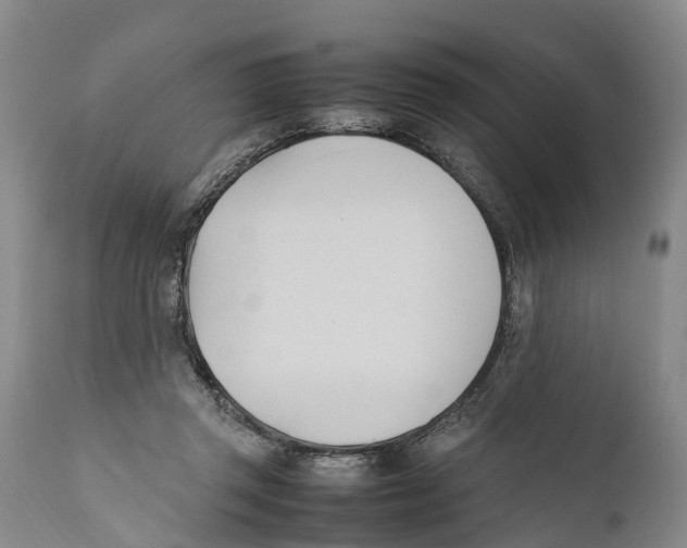 X0000111950357200908241210
