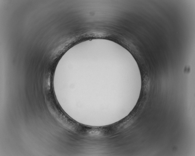X0000111950358200908241210