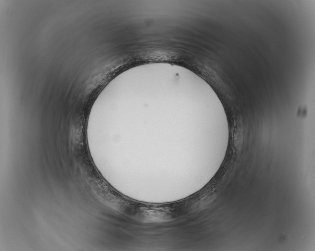 X0000111950359200908241210