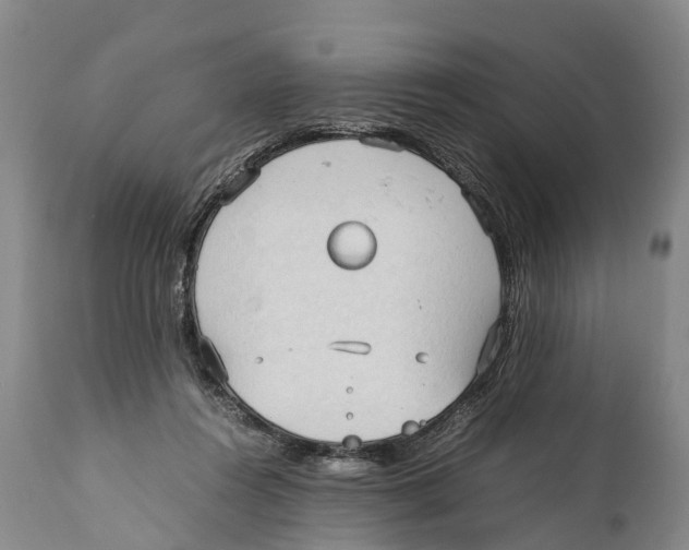 X0000111950360200908241210
