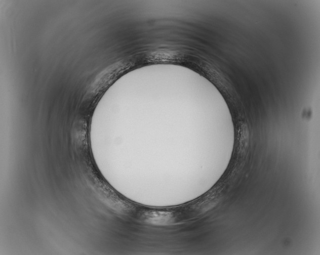 X0000111950361200908241210