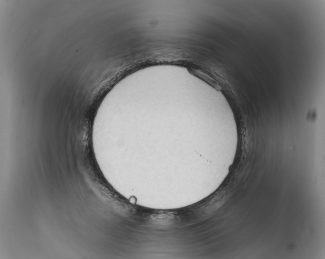 X0000111950362200908241210