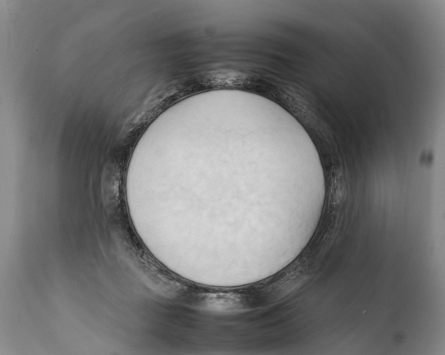X0000111950363200908241210