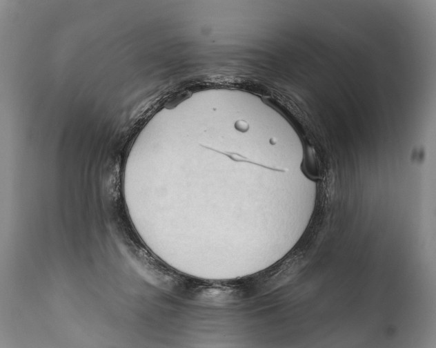 X0000111950364200908241210