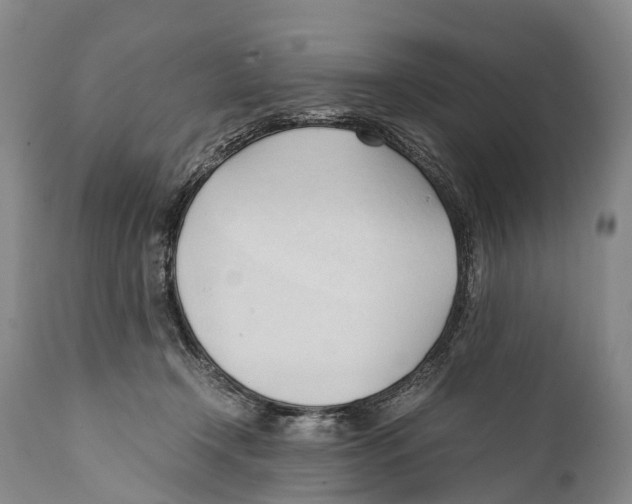 X0000111950366200908241210