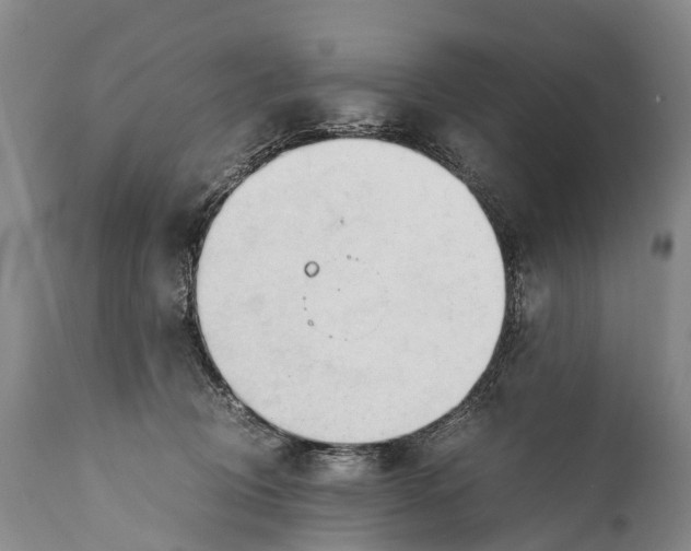 X0000111950370200908241210