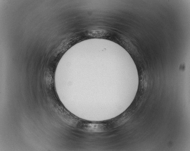 X0000111950371200908241210
