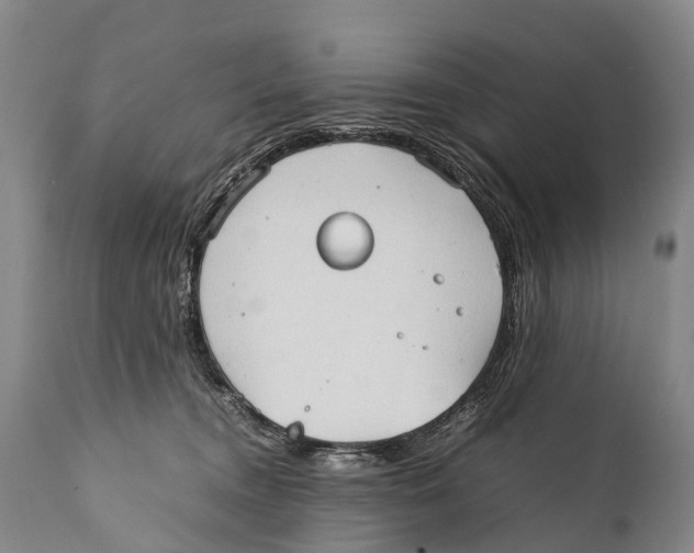 X0000111950372200908241210