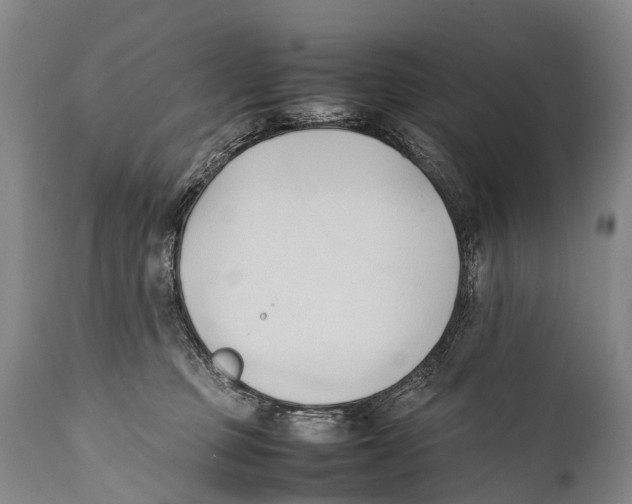 X0000111950373200908241210