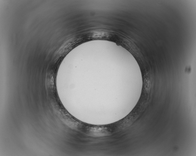 X0000111950375200908241210