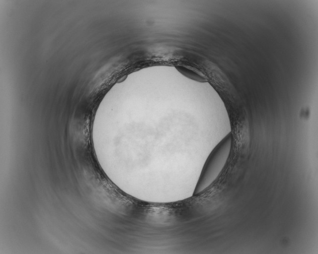 X0000111950376200908241210