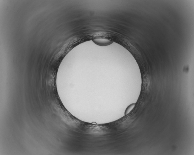 X0000111950379200908241210