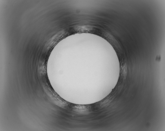 X0000111950381200908241210