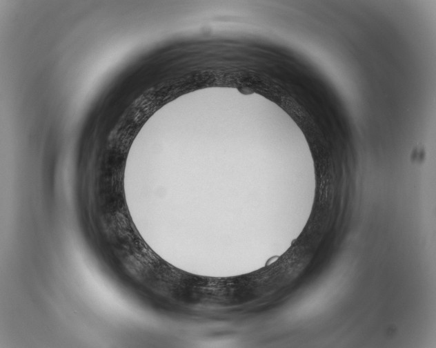 X0000111950383200908241210