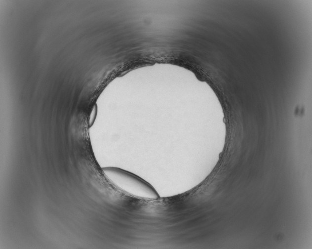 X0000111950384200908241210