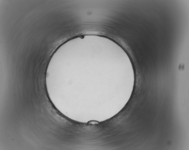 X0000111950385200908241209