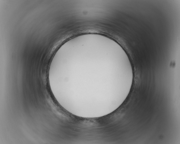 X0000111950386200908241209
