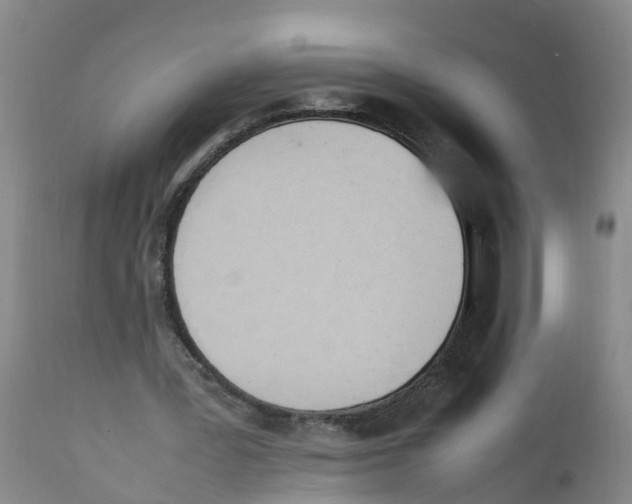X0000111950387200908241209