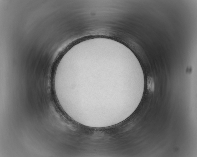 X0000111950388200908241209