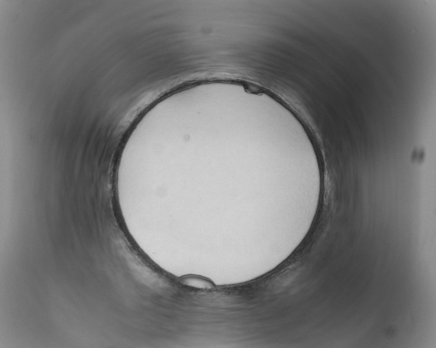 X0000111950389200908241209