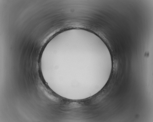 X0000111950390200908241209