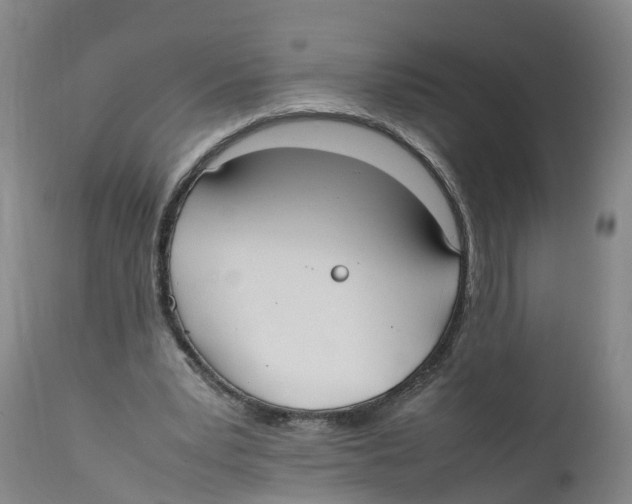 X0000111950391200908241209